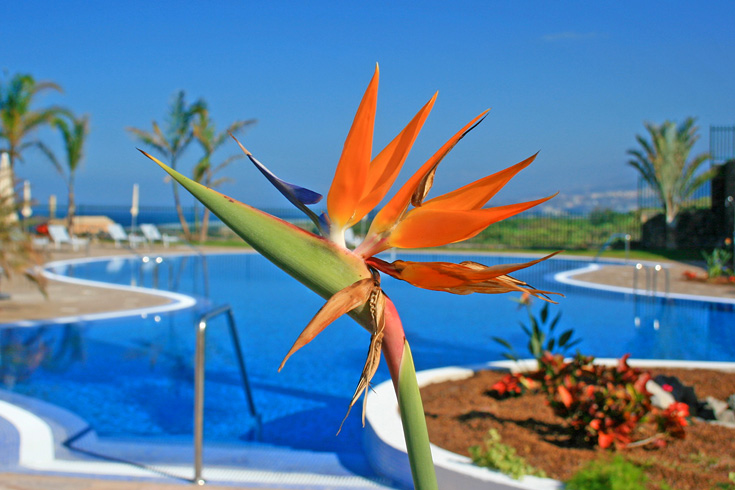 Hotel Luz del Mar - Klima