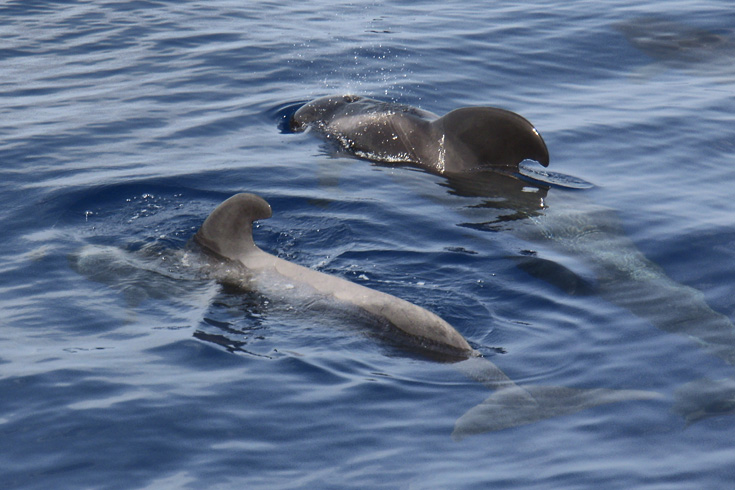 Hotel Luz del Mar - Excursiones